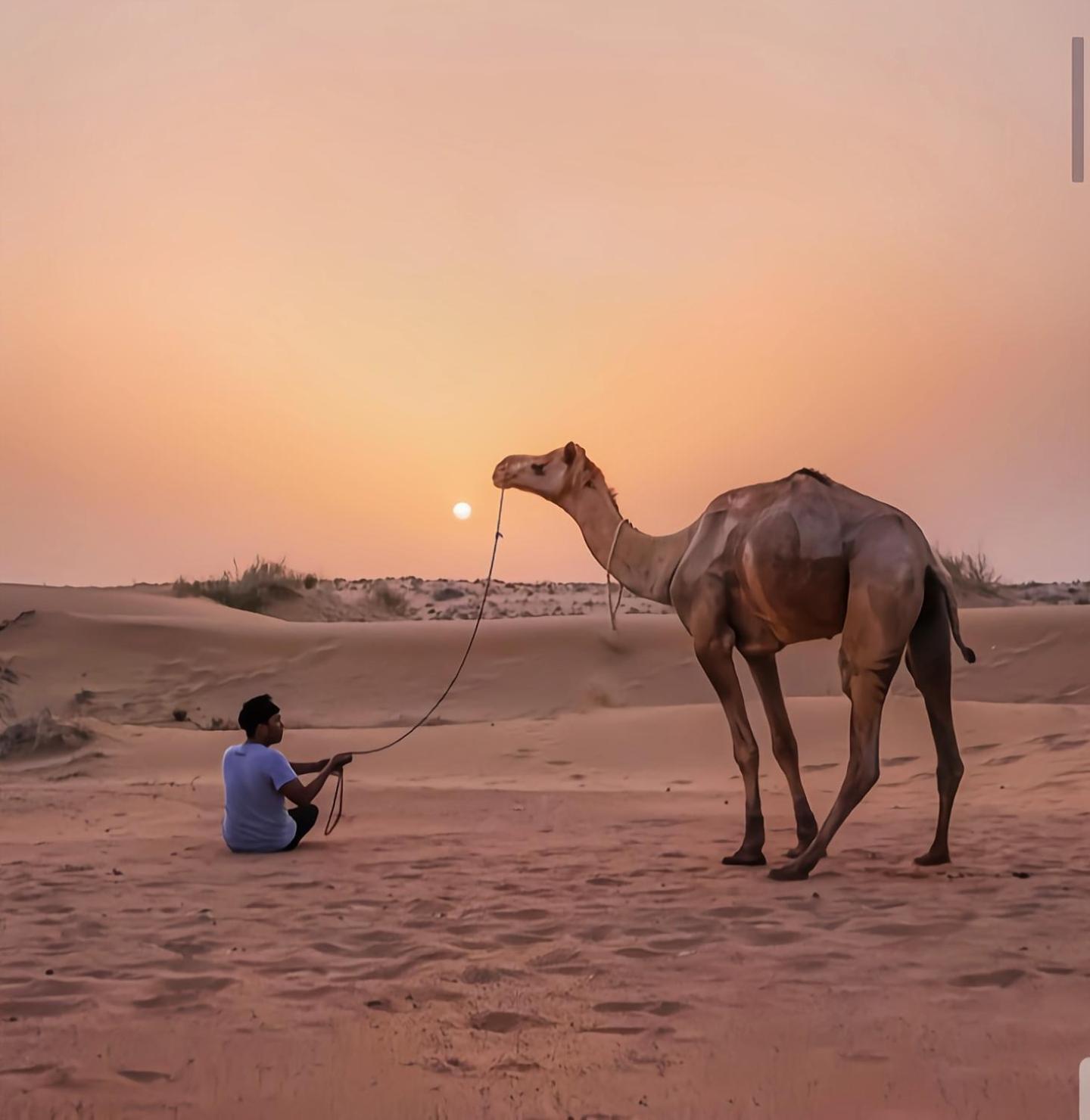 ג'איסלמר The Saffron Desert Camp מראה חיצוני תמונה